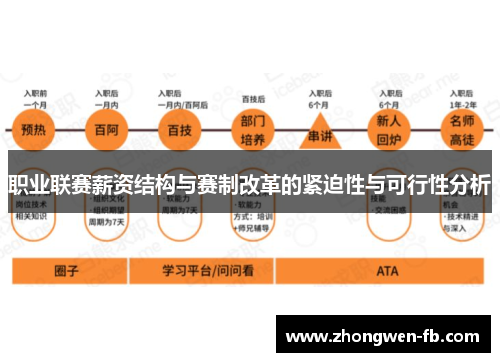 职业联赛薪资结构与赛制改革的紧迫性与可行性分析